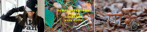 эйфоретик Абинск
