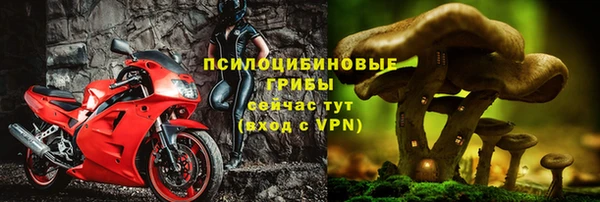 крисы Абдулино