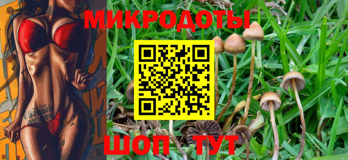 Галлюциногенные грибы Psilocybe Ртищево