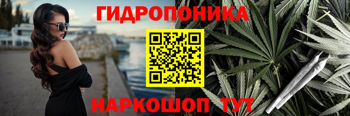 Каннабис ГИДРОПОН Ртищево